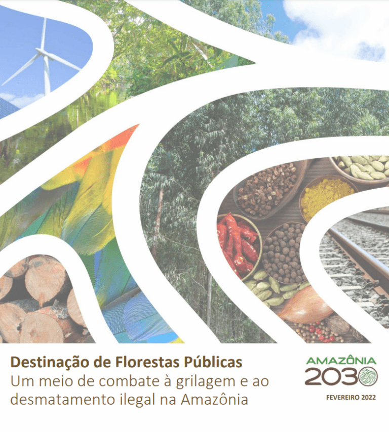 Destinação de Florestas Públicas – um meio de combate à grilagem