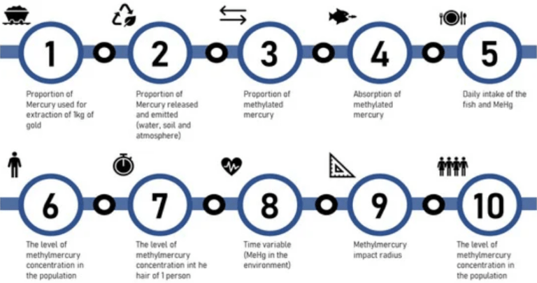 Economic Impacts on Human Health Resulting from the Use of Mercury in the Illegal Gold
