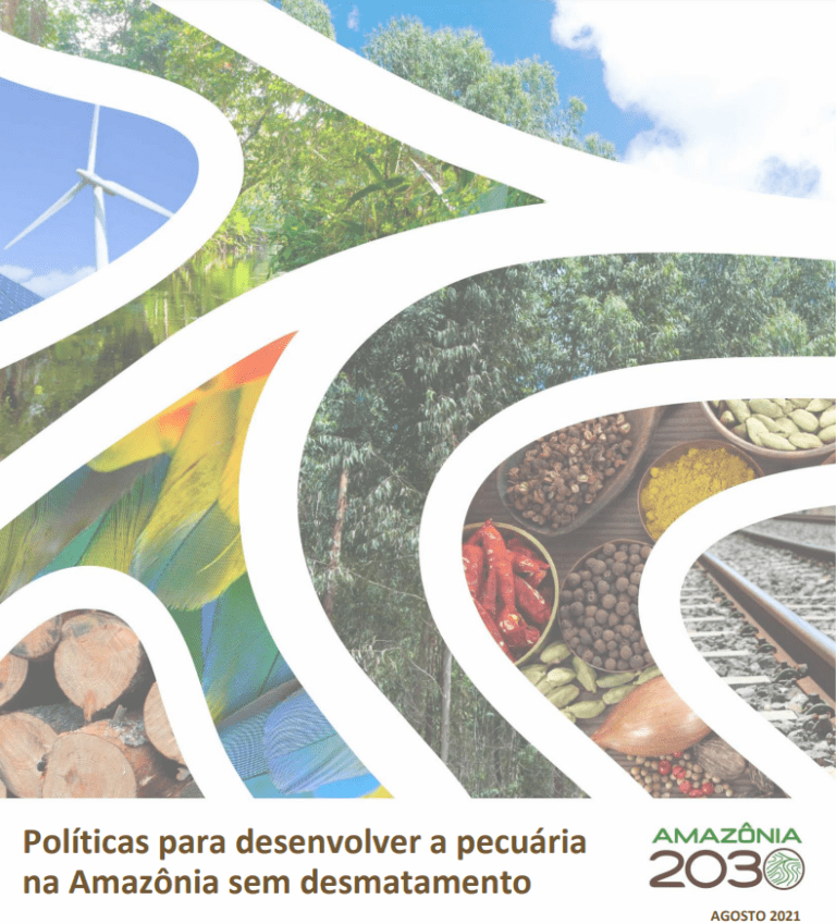 Políticas para desenvolver a pecuária