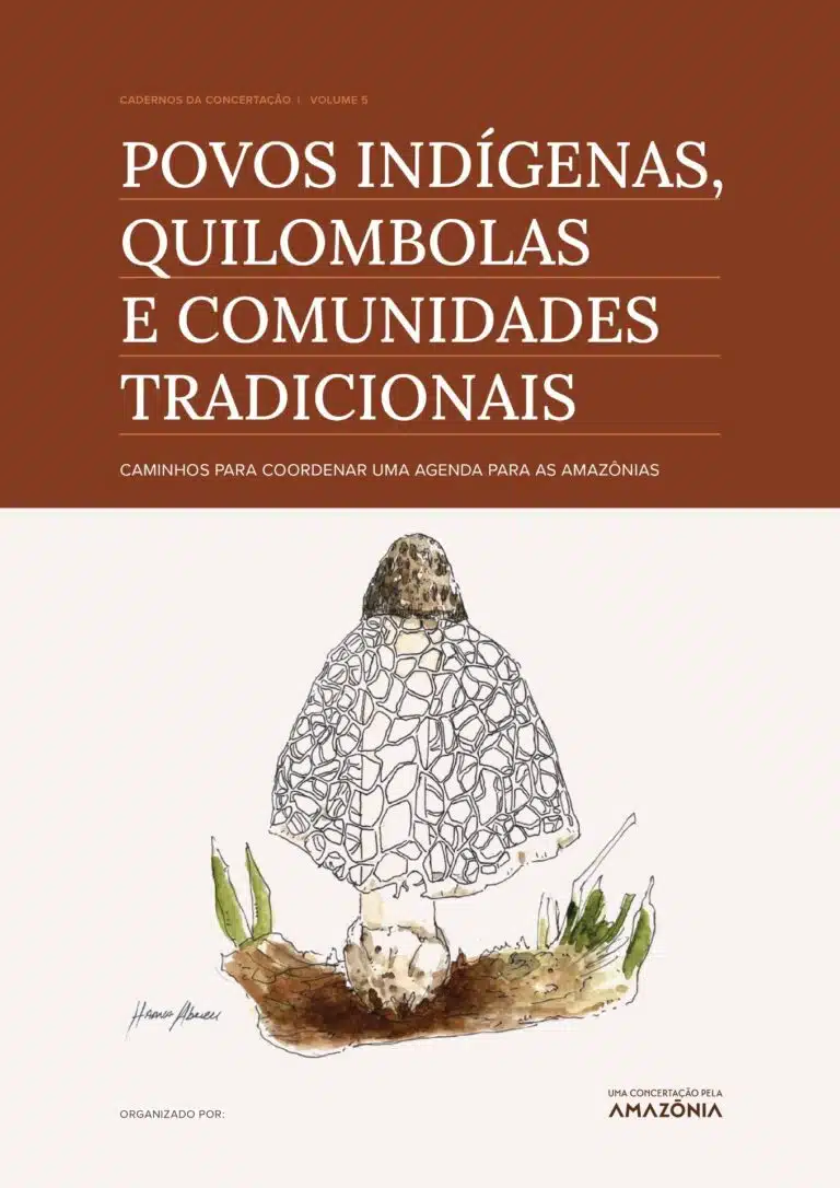 Cadernos da Concertação_Povos Indígenas Quilombolas e Comunidades Tradicionais