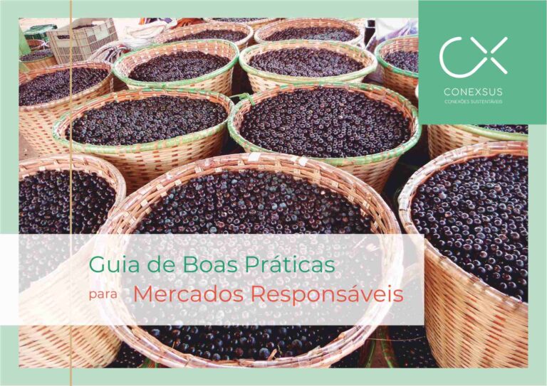guia-de-boas-praticas-1_page-0001