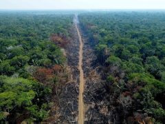 102174492-files-this-file-photo-taken-on-september-16-2022-shows-an-aerial-view-of-a-deforested-and Média