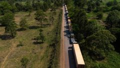 108777673-careiro-da-varzea-am-10-10-2024-economia-meio-ambiente-seca-na-bacia-amazonica-uma Grande