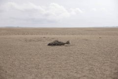 1746642765681ba74ddb2c5_1746642765_3x2_xl