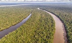 1_floresta_amazonica-36452437