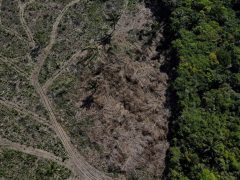 2022-10-07t171259z-1021400778-rc2l7v9lsv3p-rtrmadp-3-brazil-environment