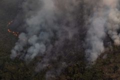 20240801fogoamazonia-greenpeacemarizilda-gp0su1t9r