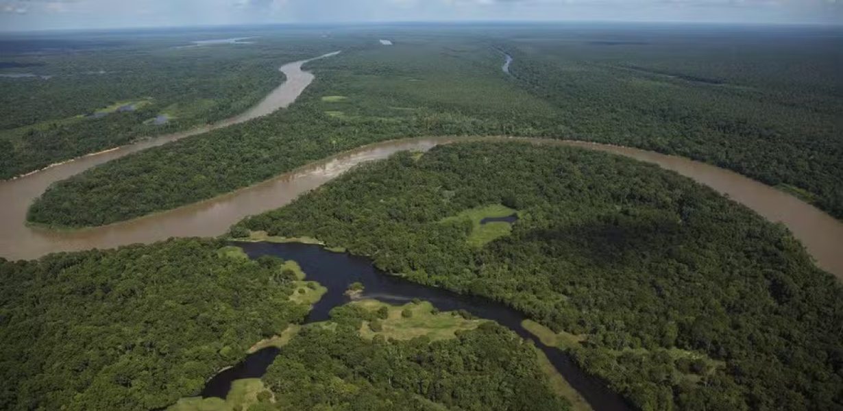 23emp-100-amazonia-b7-img01