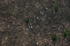 57ac580a-gp0sty7vk_low-res-800px