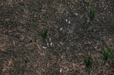 57ac580a-gp0sty7vk_low-res-800px