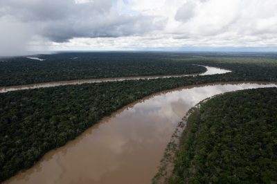 Amazonia
