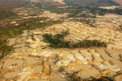 Capa-Garimpo-ilegal-migra-na-Amazonia-e-dispara-na-TI-Sarare-MT-alerta-Greenpeace