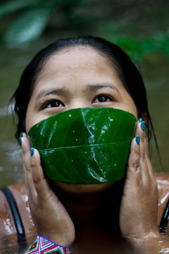IMG_0550 2