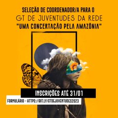 Oportunidade de trabalho no GT de Juventudes da Concertação!