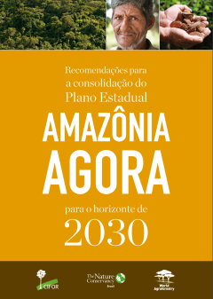 Recomendações para a consolidação do Plano Estadual