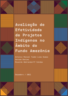 Relatorio-Efetividade-Indigenas