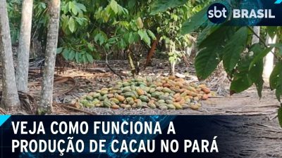 YTTCZRVXU5A53A