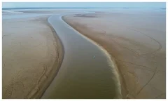 amazonas