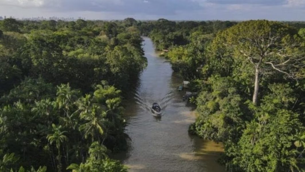 amazonia-660x372-1
