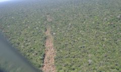 amazonia