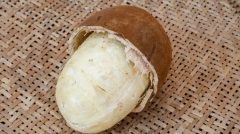 cupuacu-frutas-exoticas-1576530756181_v2_900x506