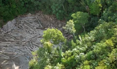 desmatamento-Amazonia_foto_ABr-1024x613.jpg