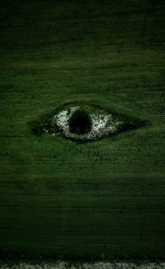 egor-vikhrev-TJ0KagkqA2Y-unsplash-scaled-1