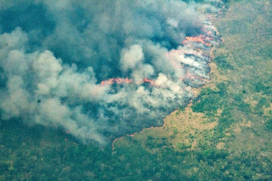 fabio-bispo-fogo-amazonia-2