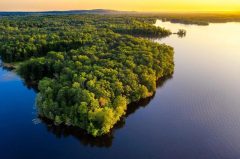 la-riqueza-natural-de-la-amazonia-como-base-del-desarrollo-sostenible-regional