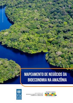 mapeamento_de_negocios_da_bioeconomia_da_amazonia_page-0001