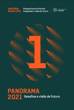 panorama 2021