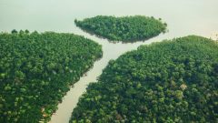 reforma-tributaria-protecao-ambiental-amazonia-848x477