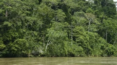 thumbnail_foto-amazonia
