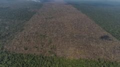 vista-aerea-de-uma-area-desmatada-na-amazonia-para-expansao-da-pecuaria-em-labrea-am-1632947992800_v2_900x506 Grande